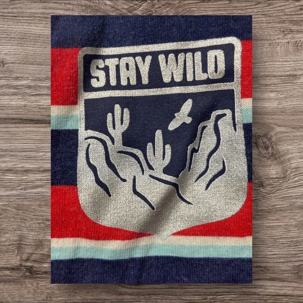 Gumballs 3T Striped “Stay Wild”Toddler Outfit. Good used cndtn.